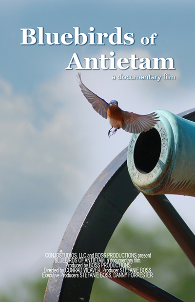 Bluebirds of Antietam