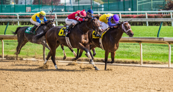 We shot video and photography for an upcoming documentary, Born to Rein.