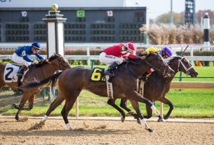 We shot video and photography for an upcoming documentary, Born to Rein.